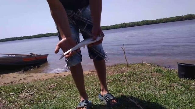 Бешенный клев сельди в Астраханской области смотреть онлайн