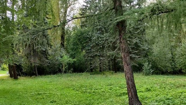 Дендропарк на Первомайской улице в Екатеринбурге смотреть онлайн