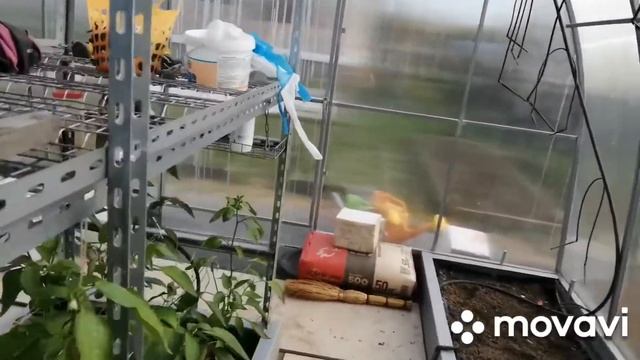 Мою парник белизной. уборка в парнике смотреть онлайн