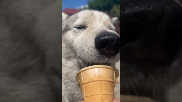 Лето на юге🫠