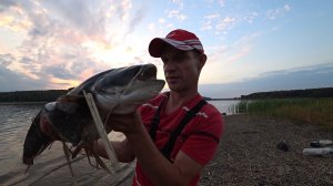 Убойный клев СОМОВ и танцующие спиннинги. Самая лучшая рыбалка на сома за лето.