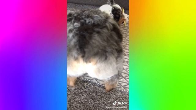 ТРЕНДОВЫЙ ТАНЕЦ ТИКТОК #1| LAFFY TAFFY REMIX