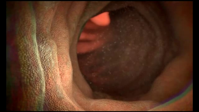 Алкоголь и наше тело