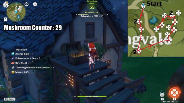 Efficient Philanemo Mushroom Farming Routes (All 55) - Genshin Impact смотреть онлайн