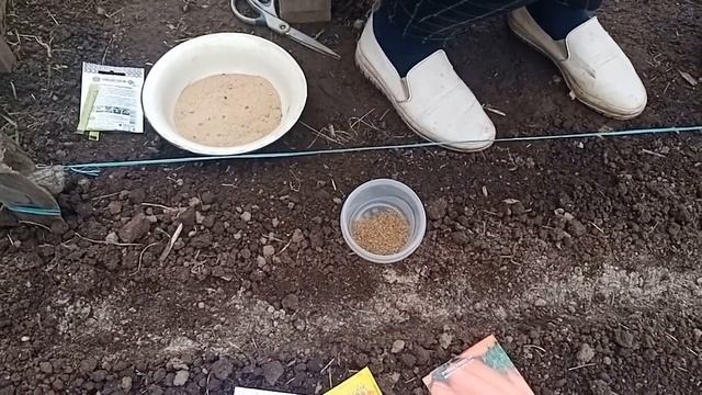 Посадка моркови весной смотреть онлайн