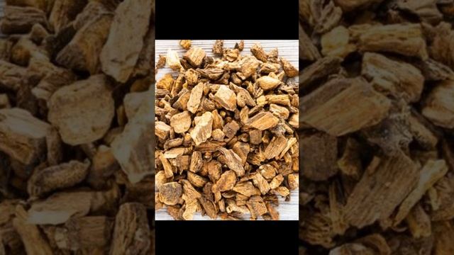 ЛОПУХ ЛЕЧИТ ВСЕ РАССКАЗ ТРАВНИЦЫ #народныесредства