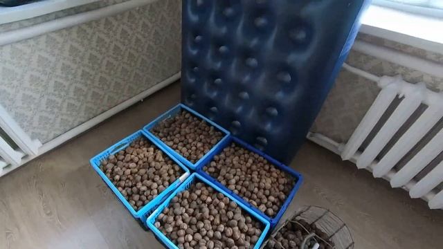 Краснодарский край. Наше утро в Платнировской(09.01.2022)