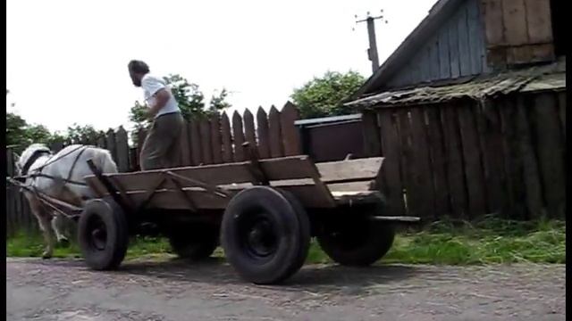 Заготовка сена смотреть онлайн