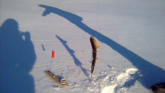 Зимняя рыбалка .wmv смотреть онлайн