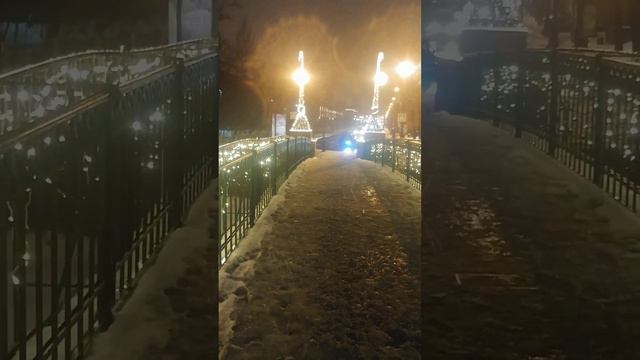 20221230 Петербург Прогулка в Новую Голландию