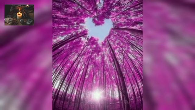 Музыка для привлечения любви смотреть онлайн