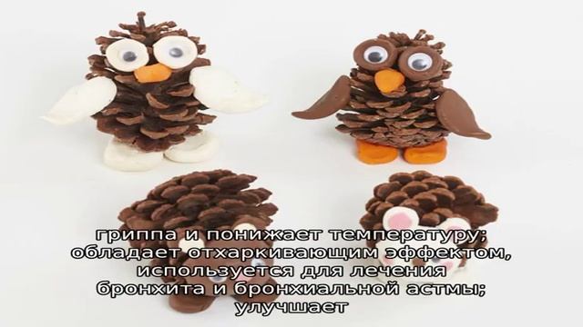 Варенье из сосновых шишек – народное лекарство от кашля смотреть онлайн