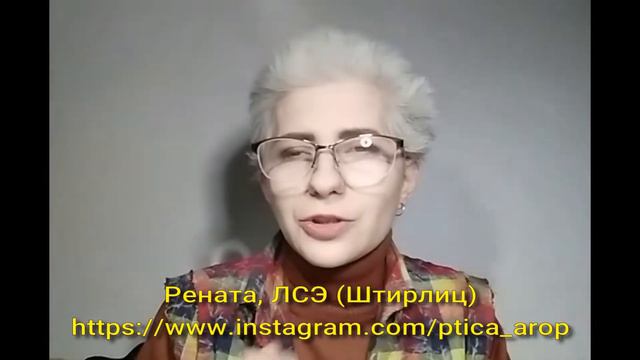 БОЛЕВАЯ ИНТУИЦИЯ ВРЕМЕНИ⏳ смотреть онлайн