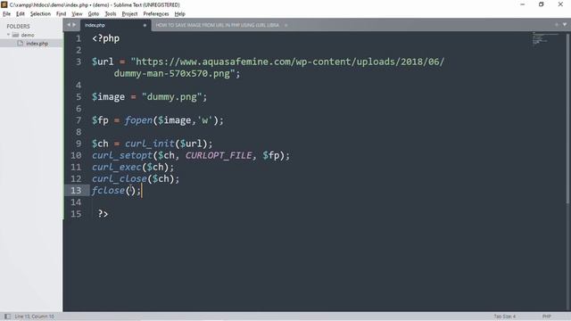 How to save image from URL in PHP using cURL Library | Download image from URL in PHP смотреть онлайн