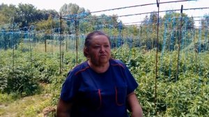 Универсальная шпалера для овощных культур