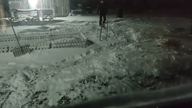 3.01.23 смотреть онлайн