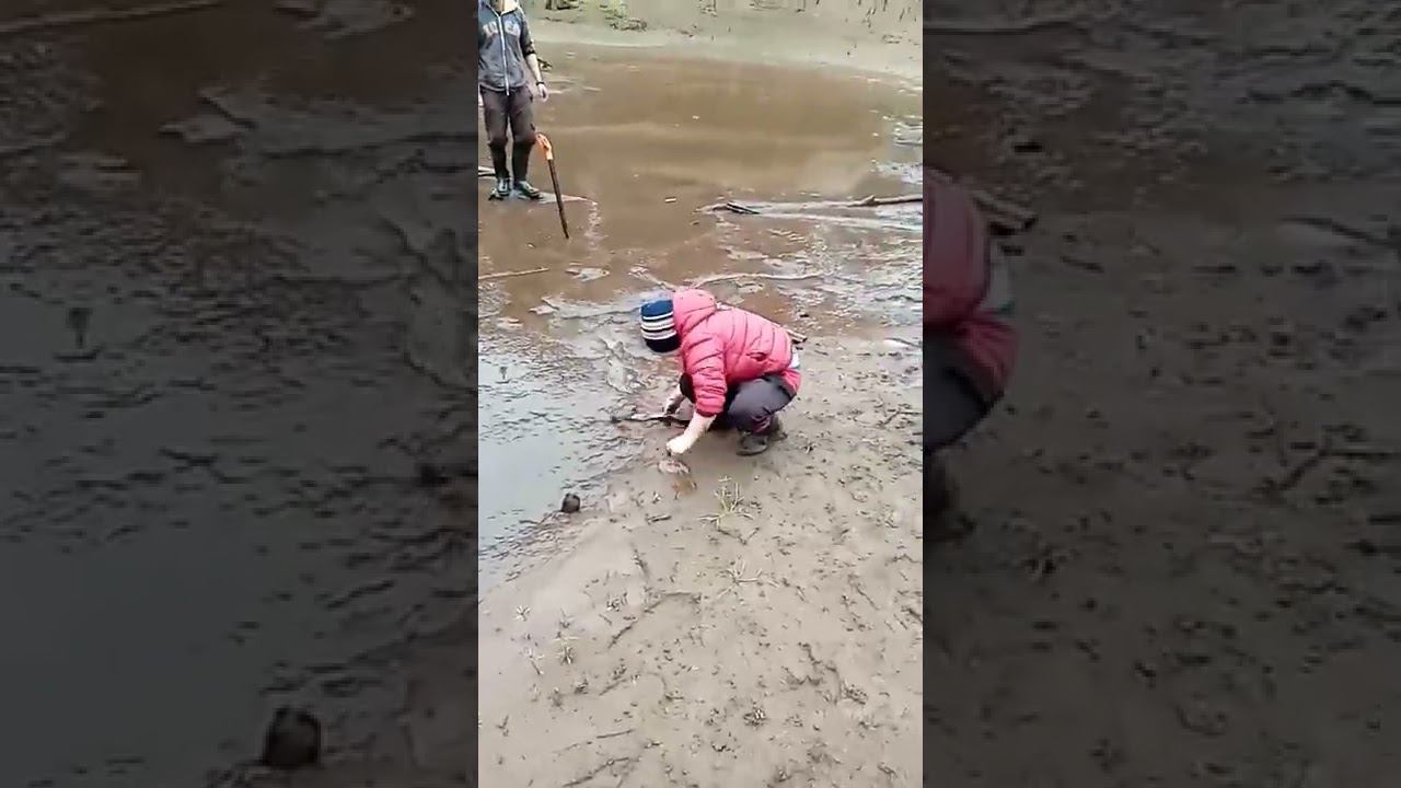 Вот так надо рыбачить 2