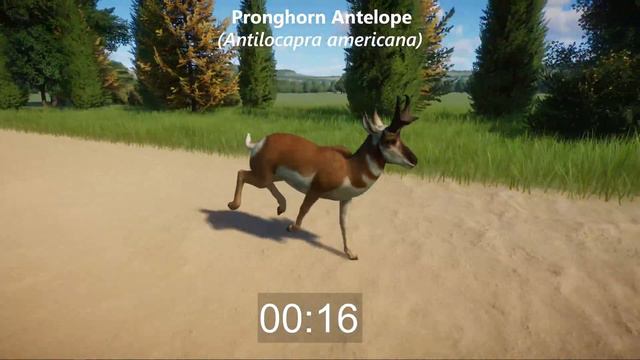 Least Concern Animals Races in Planet Zoo included Dall Sheep, Gemsbok, Antelope & etc | Planet Zoo смотреть онлайн