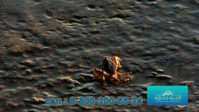 Пляж пансионата Южный смотреть онлайн