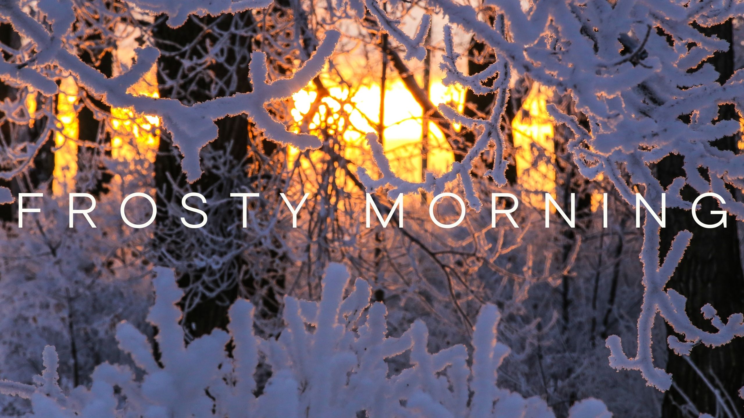 Frosty morning смотреть онлайн
