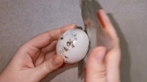 Золочение пасхального яйца поталью ?