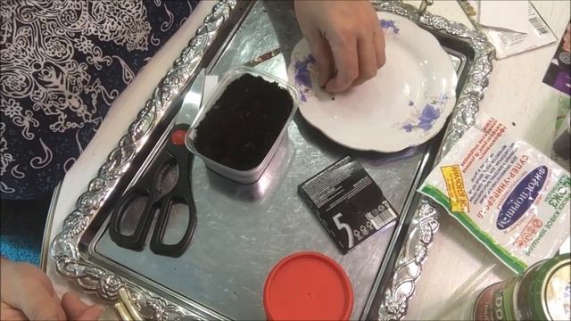Посев семян. Цикламен. смотреть онлайн