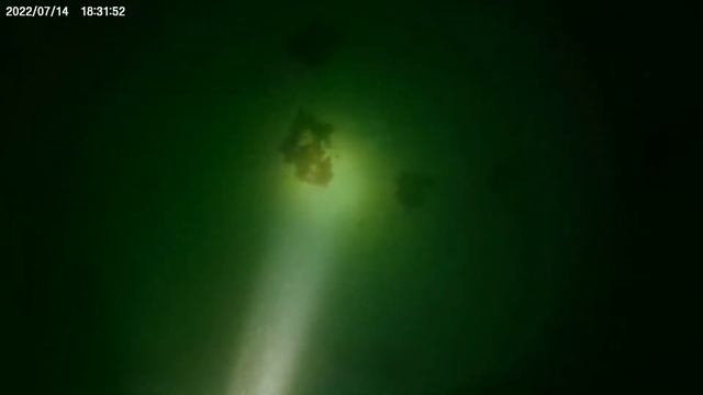 Тихая подводная охота - 2. Много гребешка и мелкого Камчатского краба. смотреть онлайн