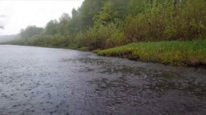 Сплав по реке Кострома