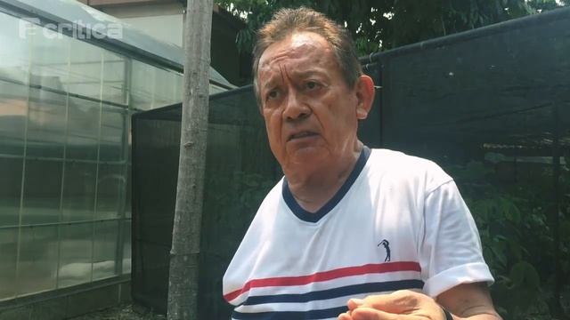 Os Frutos da Coccoloba смотреть онлайн