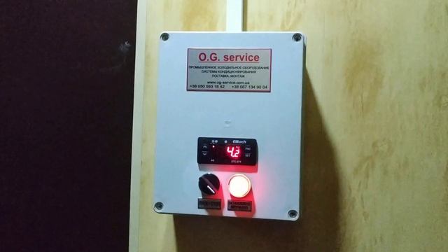 Холодильная камера-склад для хранения цветов. смотреть онлайн