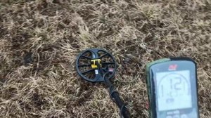 приборный поиск монет с Equinox 600