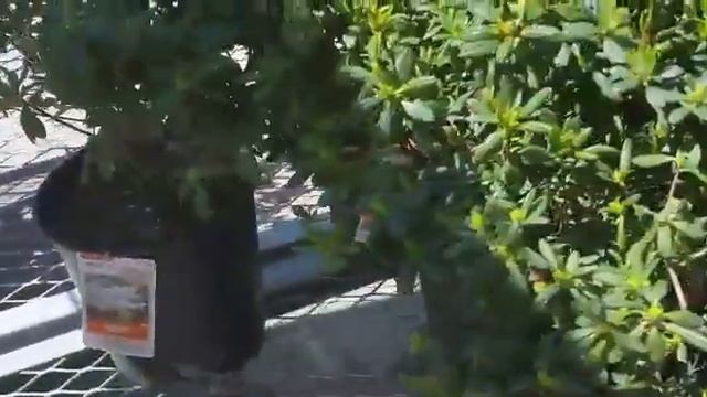 USA АПРЕЛЬ СМОТРИТЕ ГДЕ Я СЕГОДНЯ смотреть онлайн