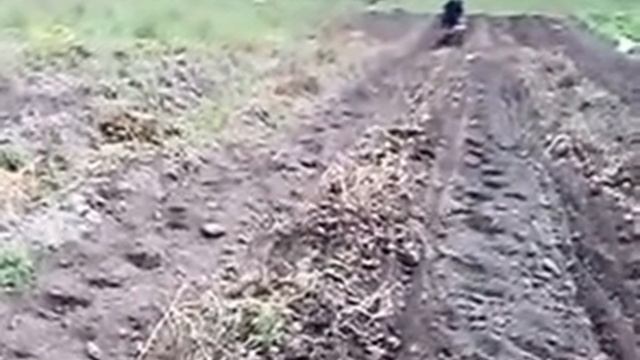 испытание самодельной транспортерной картофелекопалки смотреть онлайн