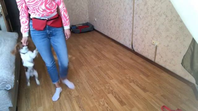 Отработка команды рядом с поворотами