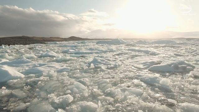 Этот клип завораживает своей красотой! Нереально красивое видео для отдыха и расслабления! смотреть онлайн