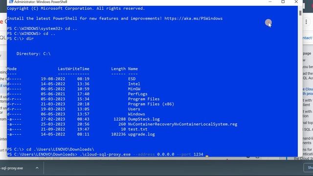 Connect using Cloud SQL Auth Proxy смотреть онлайн