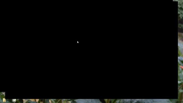 Прямая трансляция пользователя Антон Сараев смотреть онлайн