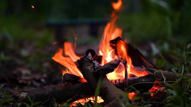 🔥 Relaxing Campfire Fireplace At Tropical Forest 🔥 Campfire With Burning Logs & Fire Sounds