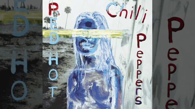 Can't Stop RHCP Drumless