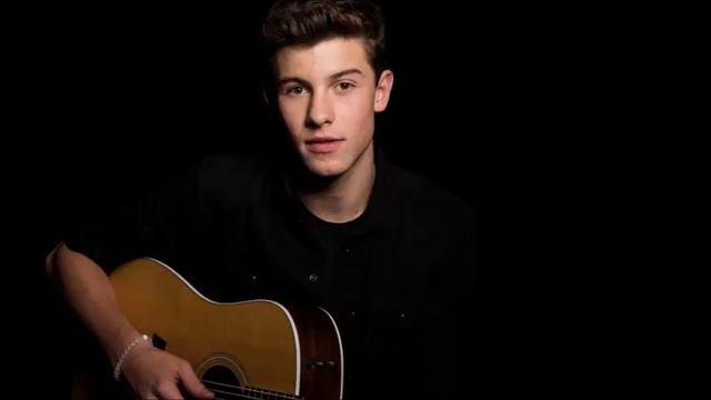There's Nothing Holding Me Back-  Shawn Mendes (Lyrics)