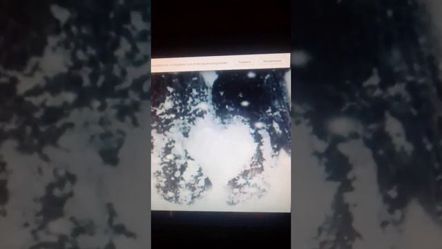 Что такое зима смотреть онлайн