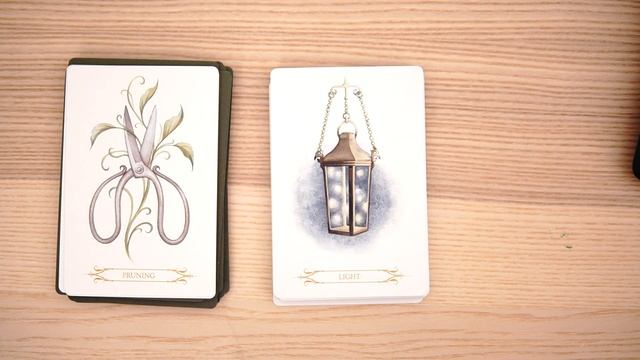 Compendium of Witches Oracle - NEW RELEASE! Unboxing and first look смотреть онлайн