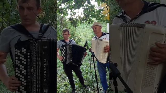 Зэнгэр кулмэк. смотреть онлайн