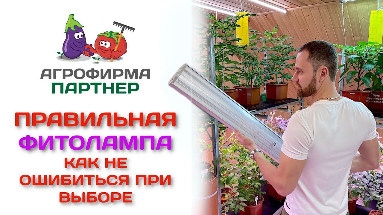Правильная фитолампа. Как не ошибиться при выборе смотреть онлайн