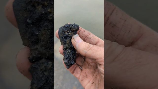 TREASURE TRASH MYSTERY🗑️ #metaldetecting #relichunting #treasurehunting смотреть онлайн