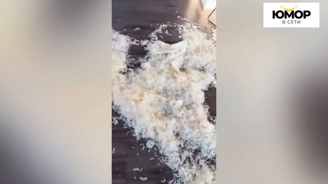 ПОПРОБУЙ НЕ ЗАСМЕЯТЬСЯ #23, 99.9% ПРОИГРАЮТ / ПОДБОРКА ПРИКОЛОВ / СМЕШНЫЕ ВИДЕО 2024 смотреть онлайн