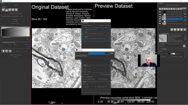 Dragonfly Daily 11 Image Filtering with Dragonfly (2020) смотреть онлайн