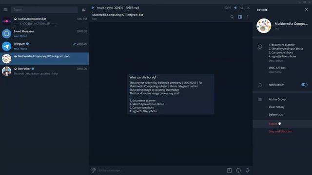 Multimedia Computing and Audio Manipulation Telegram Bot Update смотреть онлайн