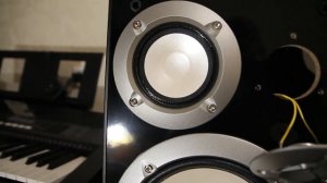 Знакомство с «Yamaha NS 6490»