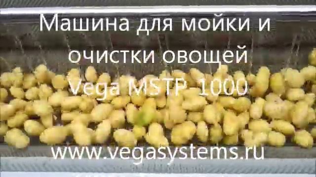 Мойка и очиска овощей Vega MSTP 1000 смотреть онлайн